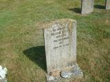 image of grave number 335469